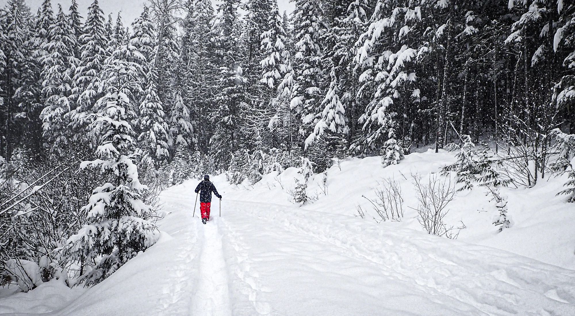 Kaslo Adventure Centre Outdoor Store Kaslo, British Columbia